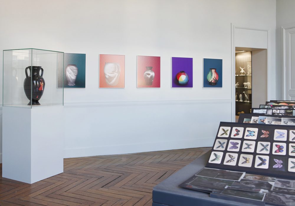 Vue de l'exposition Alinka Echeverría, Nicéphora, Musée de la Céramique RMM, Rouen, une exposition du Centre photographique dans le cadre de la Ronde, janvier - février 2017