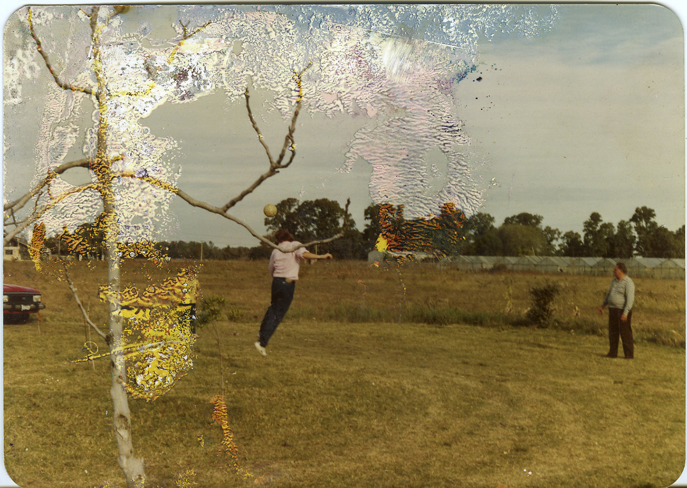 Seba Kurtis, de la série Shoebox, 2008