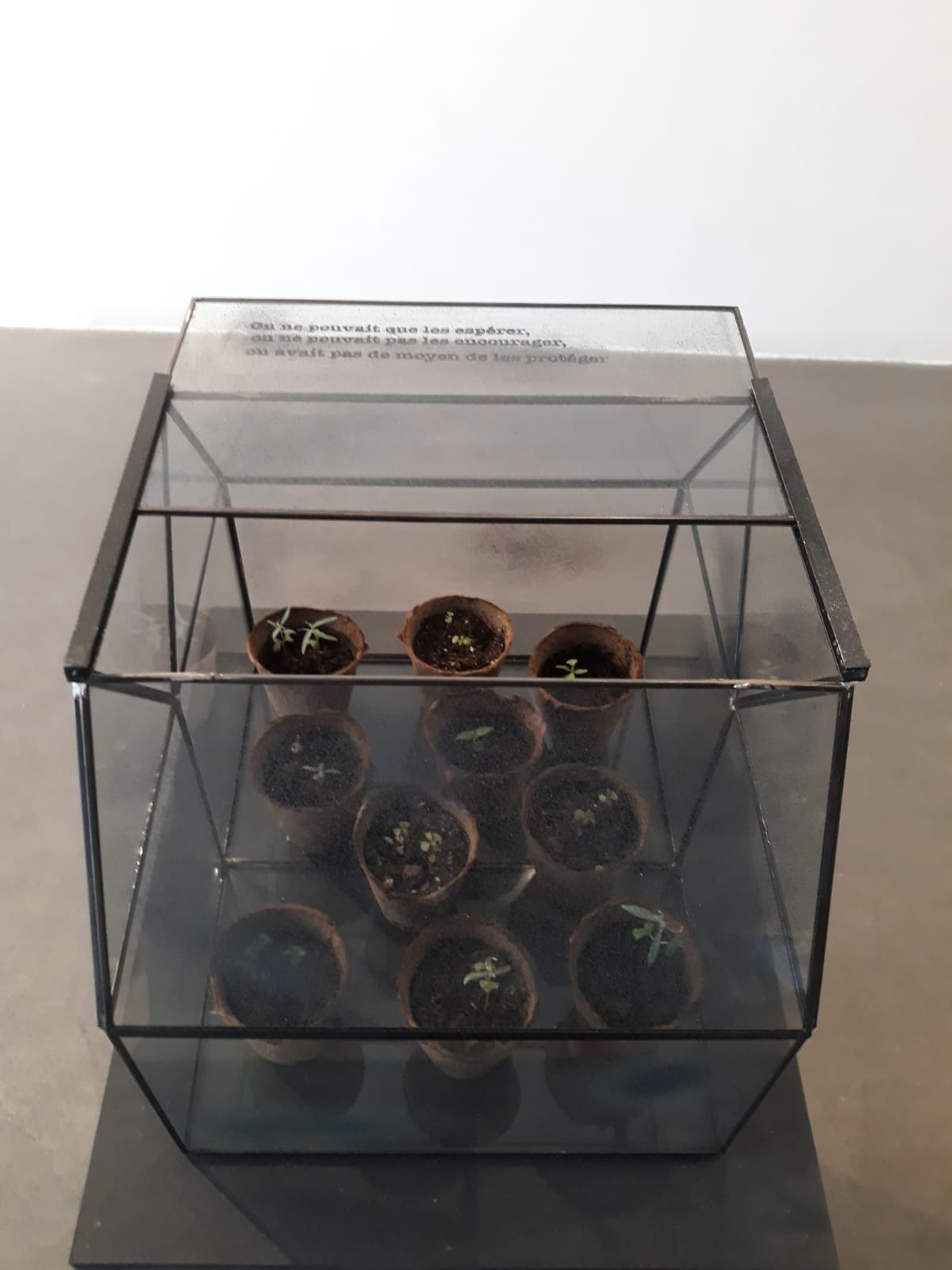 expo ntre jardin