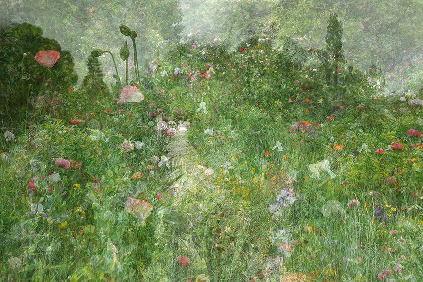 web_Kim Boske Untitled Flower 2013 150x100cm by Kim Boske
