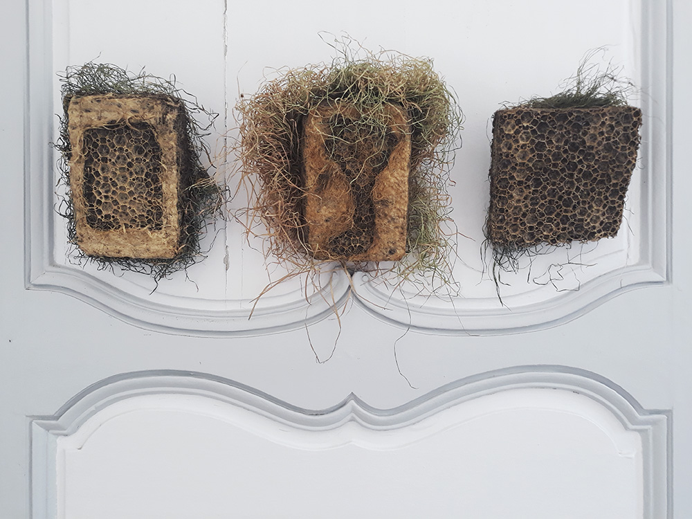 Exposition Ecole buissoniere au Jardin des Plantes de Rouen juillet - aout 2019 Centre photographique Rouen Normandie 1