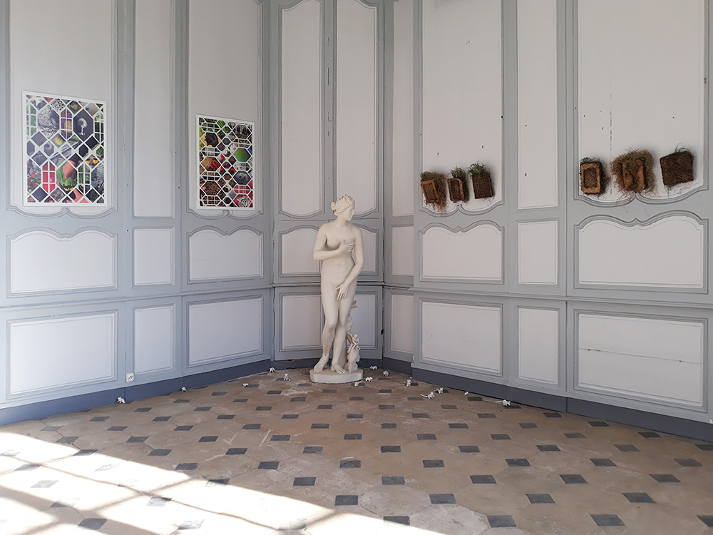 Exposition Ecole buissoniere au Jardin des Plantes de Rouen juillet - aout 2019 Centre photographique Rouen Normandie 3