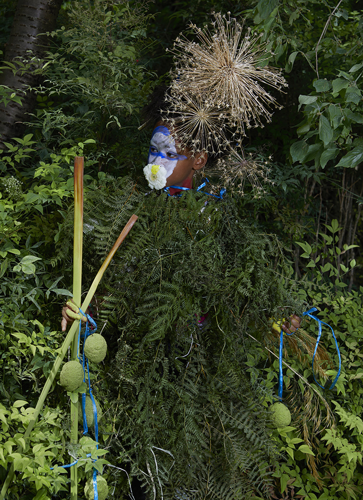 Photographie issue de l'atelier tout vert 2