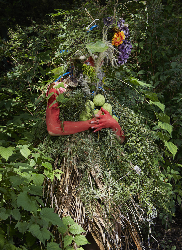 Photographie issue de l'atelier tout vert 5