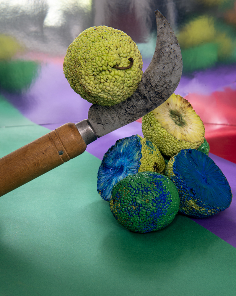 Vue d'atelier, Anaïs Boileau, Au vert, Jardin des plantes de Rouen, août 202011