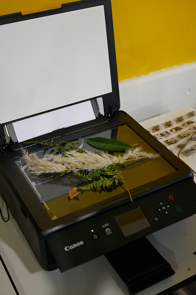 Vue d'atelier, Baptiste Rabichon, Révélations, aulycée Horti-Pôle, Evreux, février 20214