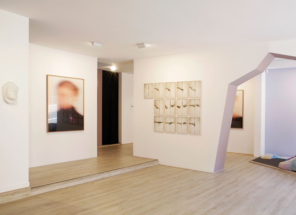 Vue d exposition A fleur du monde Centre photographique Rouen Normandie mai — octobre 2021 1