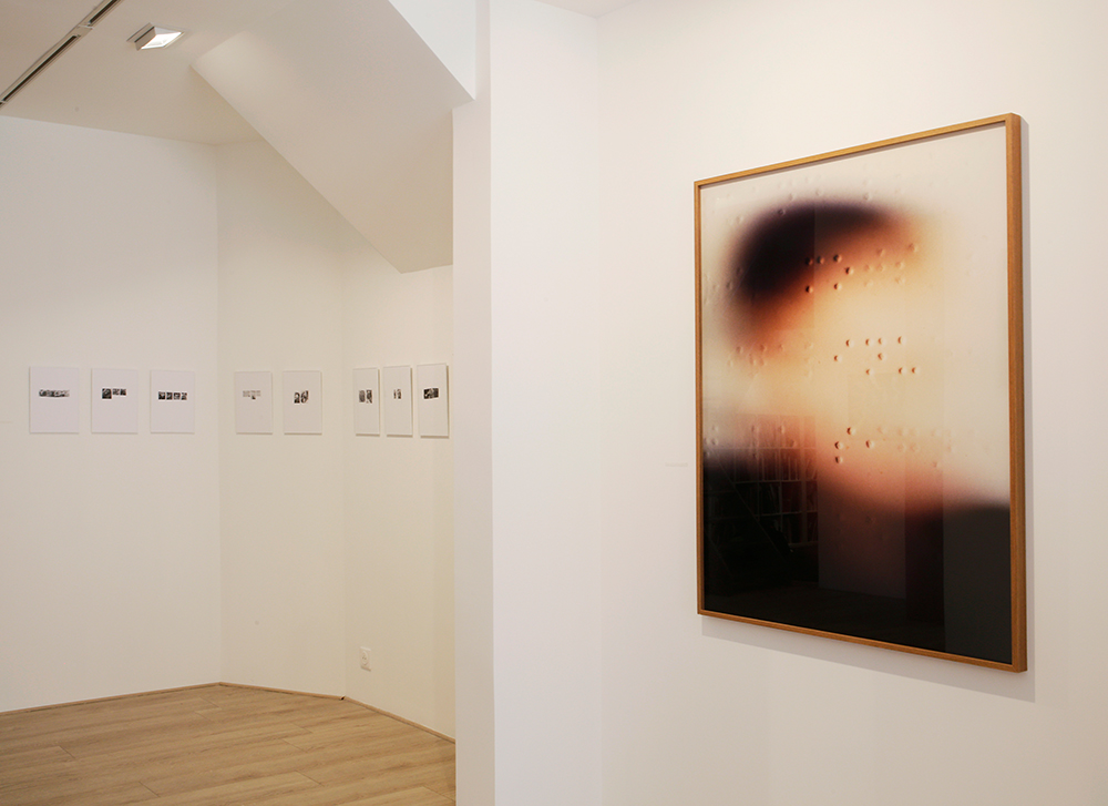 Vue d exposition A fleur du monde Centre photographique Rouen Normandie mai — octobre 2021 2