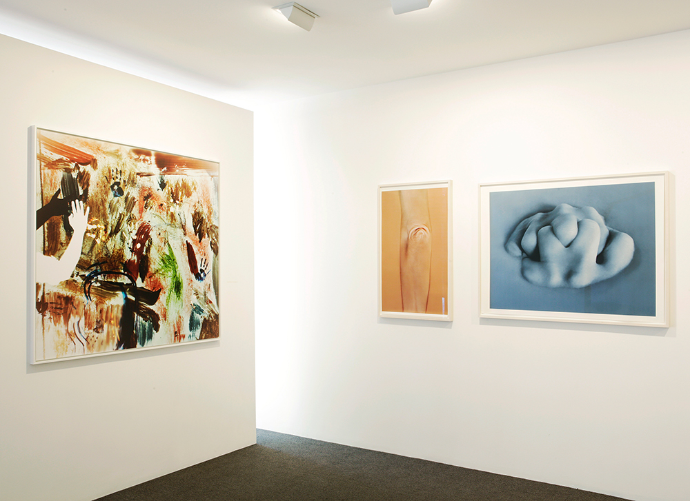 Vue d exposition A fleur du monde Centre photographique Rouen Normandie mai — octobre 2021 9