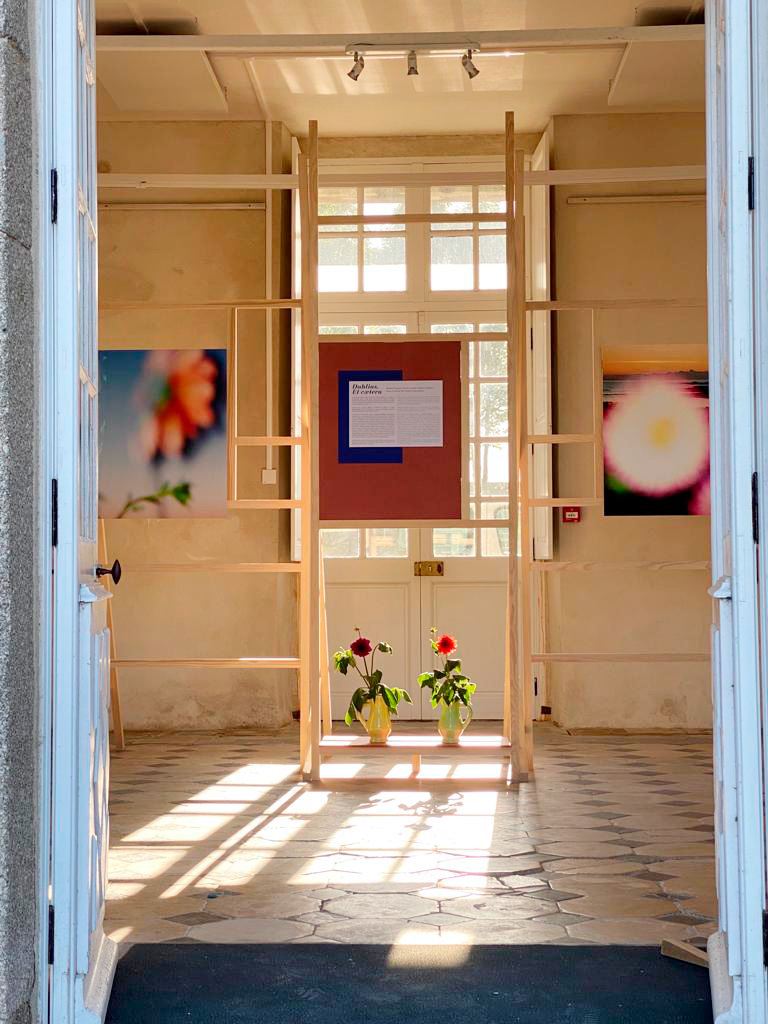 Vue d exposition Dahlia etc au Chateau de Flamanville juillet octobre 2022 Centre photographique Rouen Normandie novembre 2022 - mars 2023 7