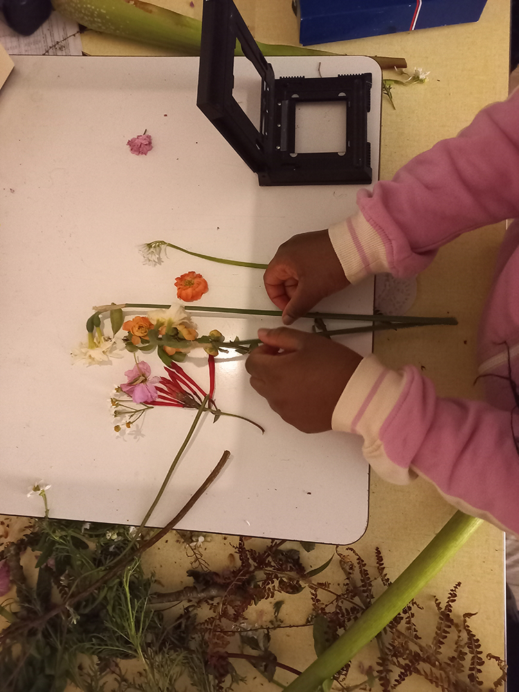 Baptiste Rabichon, Marion Dutoit, Vue d'atelier Jungle à l’école Marie Duboccage, Jardin Saint Sever, 202111