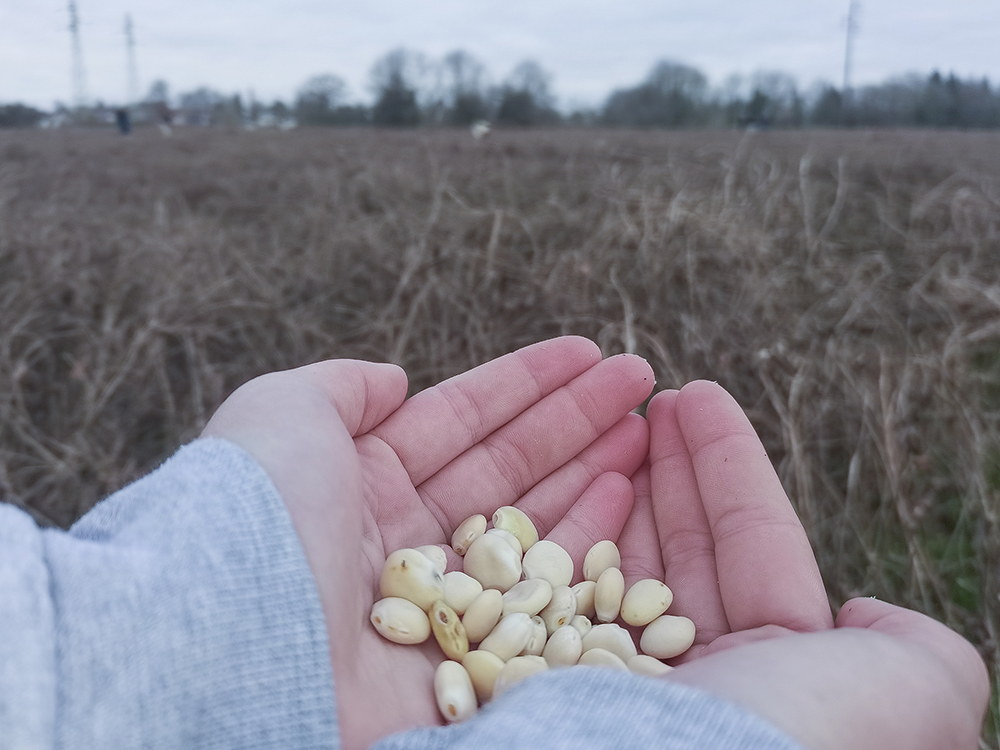 Olivia Gay, Vue d'atelier Mémoires vives Au Lycée agro-alimentaire et agricole (Yvetot), 20222