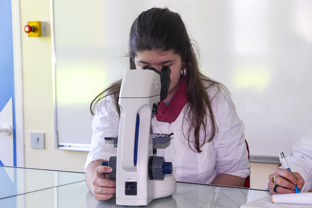 Olivia Gay, Vue d'atelier Mémoires vives Au Lycée agro-alimentaire et agricole (Yvetot), 20223