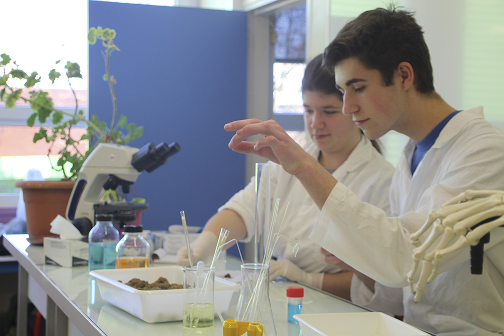 Olivia Gay, Vue d'atelier Mémoires vives Au Lycée agro-alimentaire et agricole (Yvetot), 20224