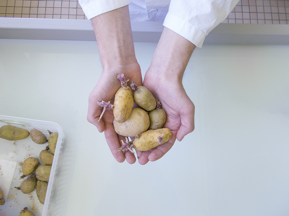 Olivia Gay, Vue d'atelier Mémoires vives Au Lycée agro-alimentaire et agricole (Yvetot), 20228