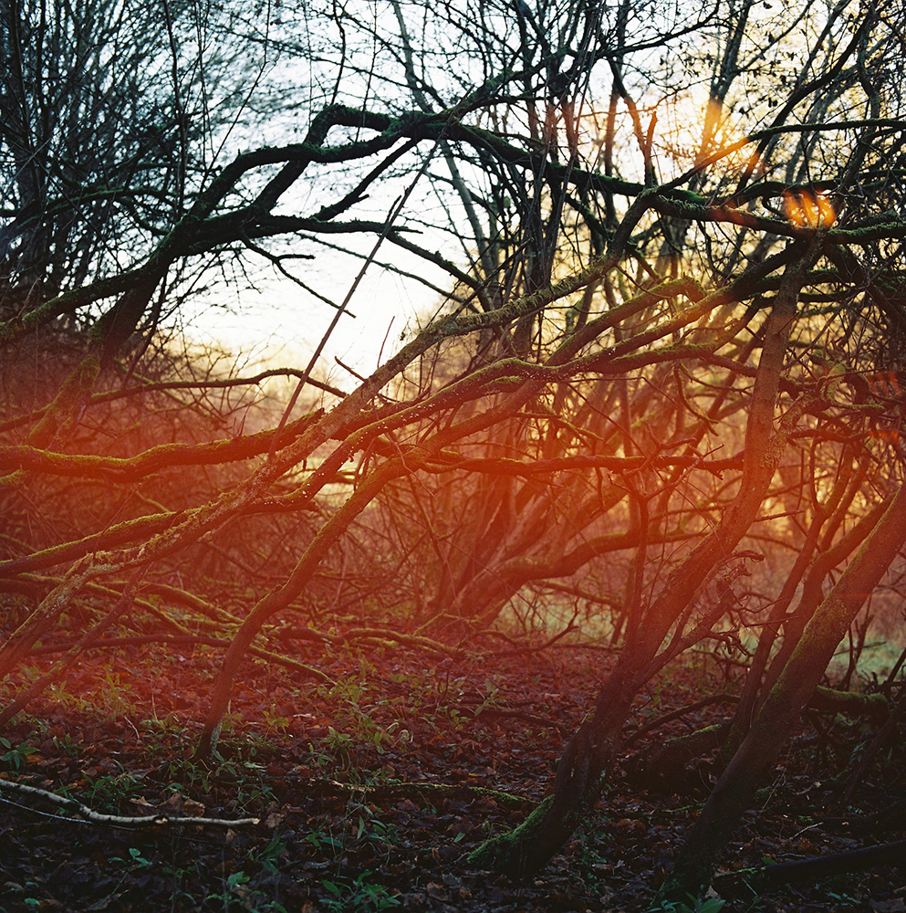 Photographie issue de l'atelier à l'épreuve de la terre 2