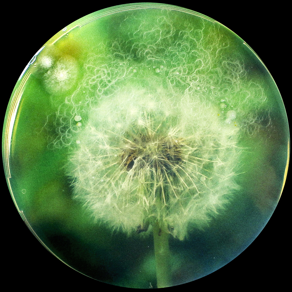 Photographie issue de l'atelier à l'épreuve de la terre 3
