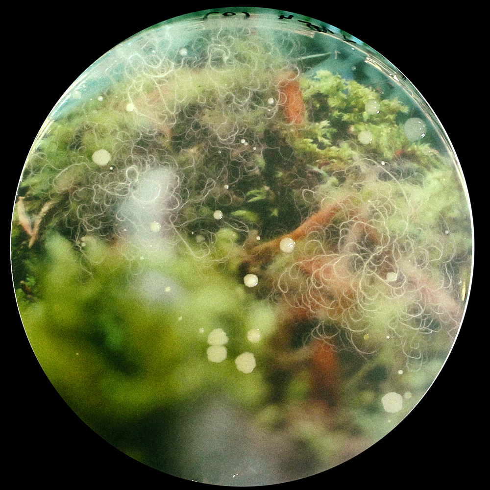 Photographie issue de l'atelier à l'épreuve de la terre 7