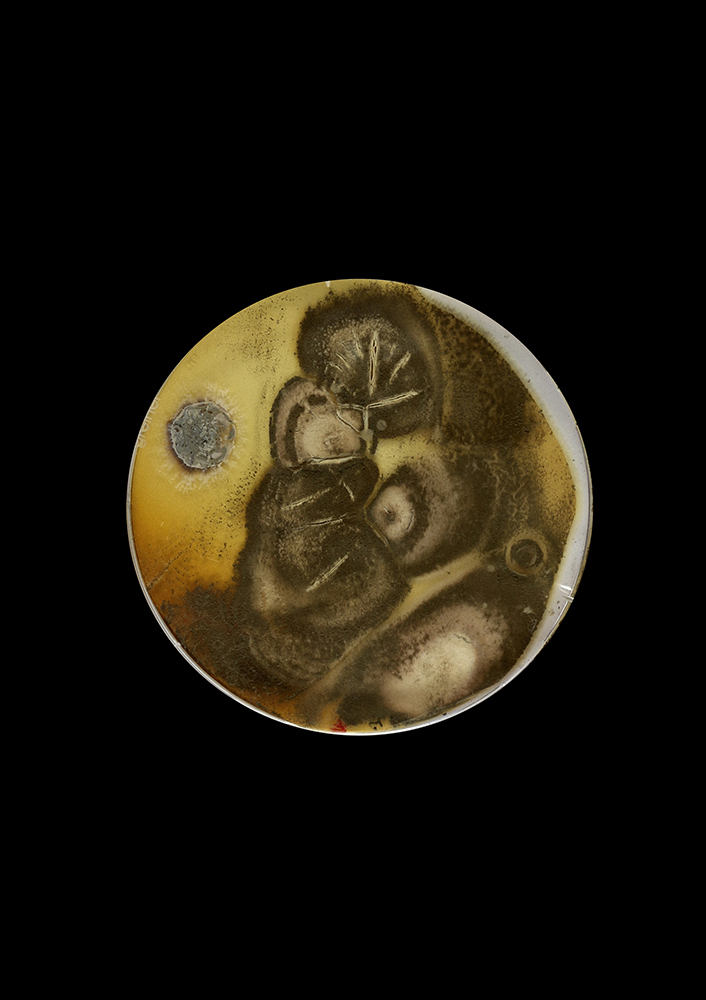 Photographie issue de l'atelier à l'épreuve de la terre 9