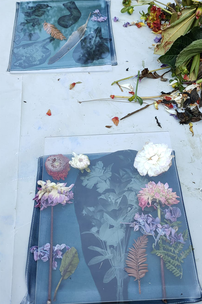 Vue d'atelier, Hubert Crabières, Cyano type, Au Pavillon du Jardin des Plantes (Rouen), mai 20211