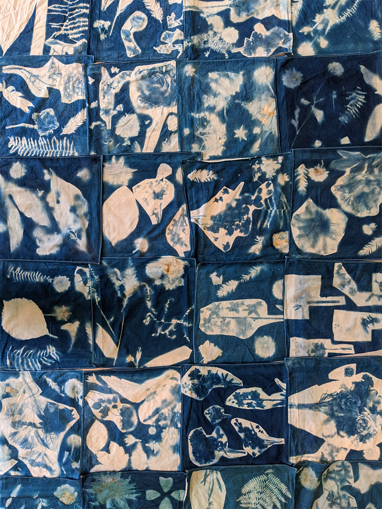 Vue d'atelier, Hubert Crabières, Cyano type, Au Pavillon du Jardin des Plantes (Rouen), mai 20212