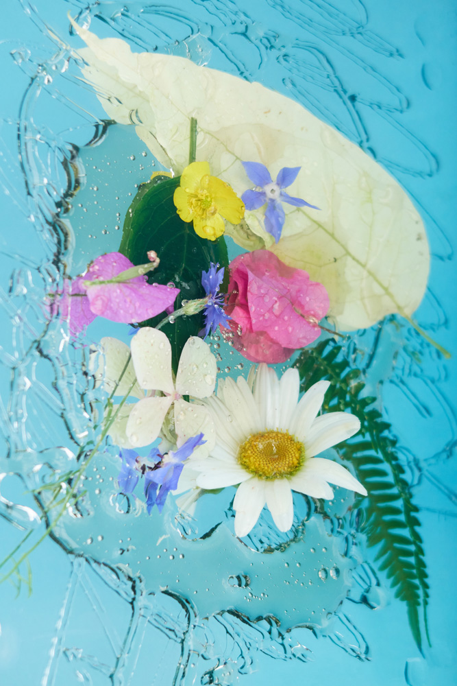 Vue d'atelier, Marion Maimon, Héloïse Bariol, Support : Surface, Au Jardin des plantes (Rouen), mai 20218
