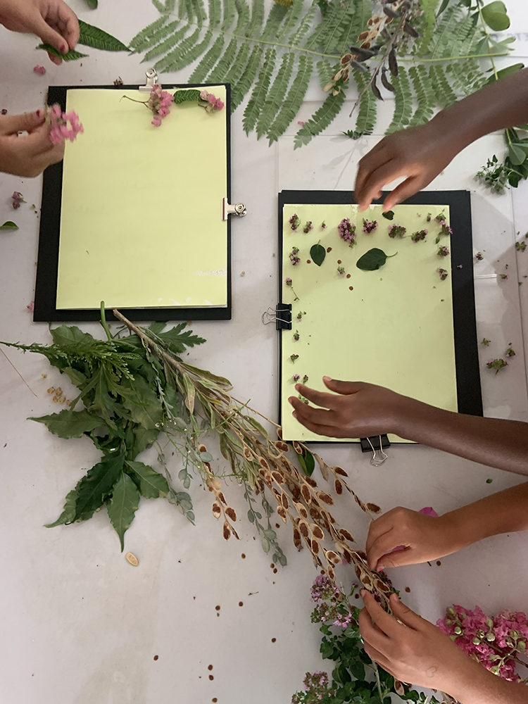 Coline Jourdan, Anaïs Boileau, Pauline Hisbacq, Nolwenn Brod, Vue d'atelier Les beaux jours au jardin Saint-Sever à Rouen, 202212