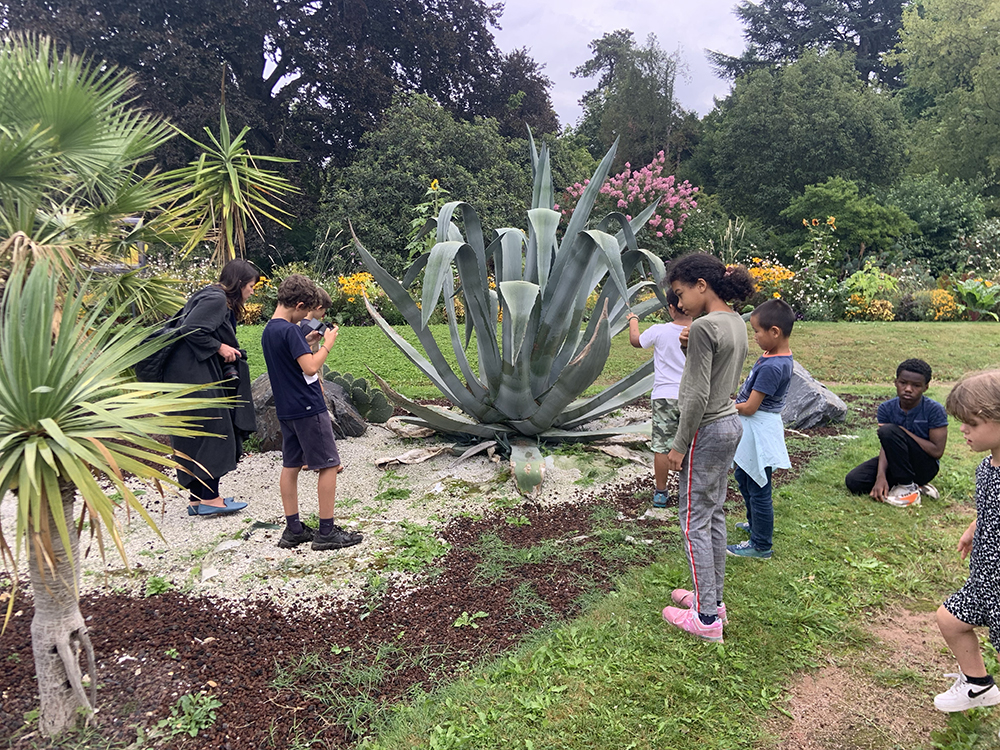 Coline Jourdan, Anaïs Boileau, Pauline Hisbacq, Nolwenn Brod, Vue d'atelier Les beaux jours au jardin Saint-Sever à Rouen, 202216