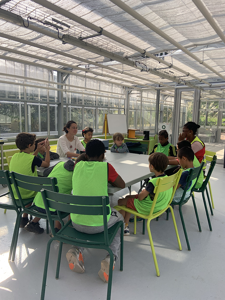 Coline Jourdan, Anaïs Boileau, Pauline Hisbacq, Nolwenn Brod, Vue d'atelier Les beaux jours au jardin Saint-Sever à Rouen, 202217