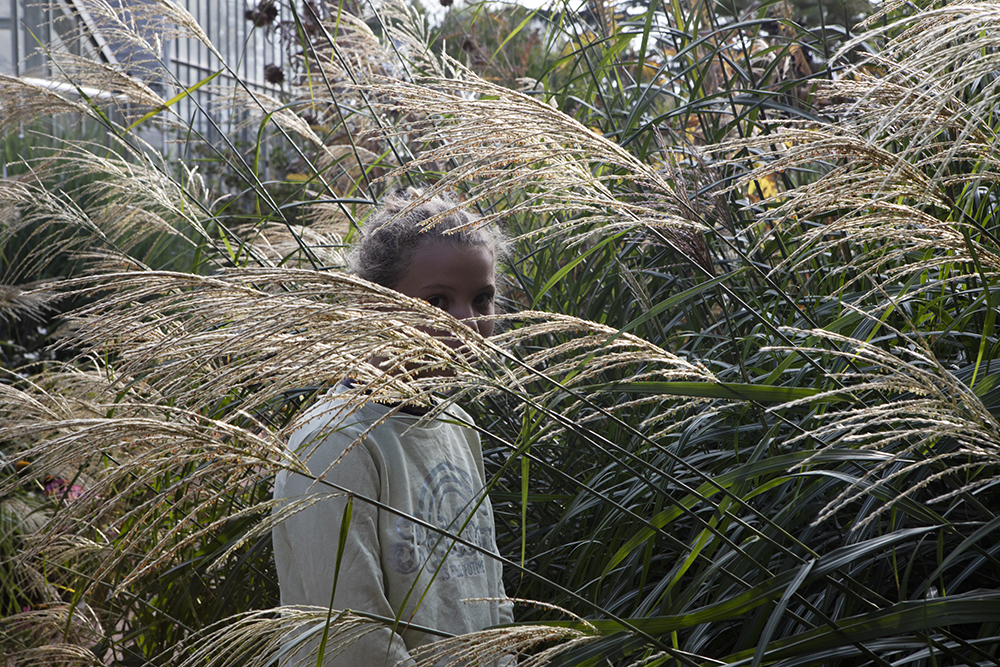 Coline Jourdan, Anaïs Boileau, Pauline Hisbacq, Nolwenn Brod, Vue d'atelier Les beaux jours au jardin Saint-Sever à Rouen, 20222