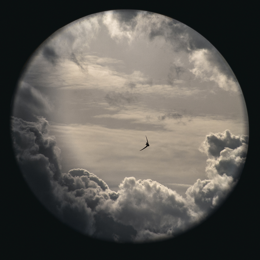 Christophe Maout, Le Ciel de Paris, 2020. Courtoisie de l’artiste.