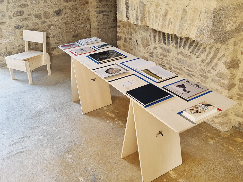Vue d'exposition À TIRE D'AILE Figures de l'oiseau, Château de Flamanville, juillet-novembre 2023.