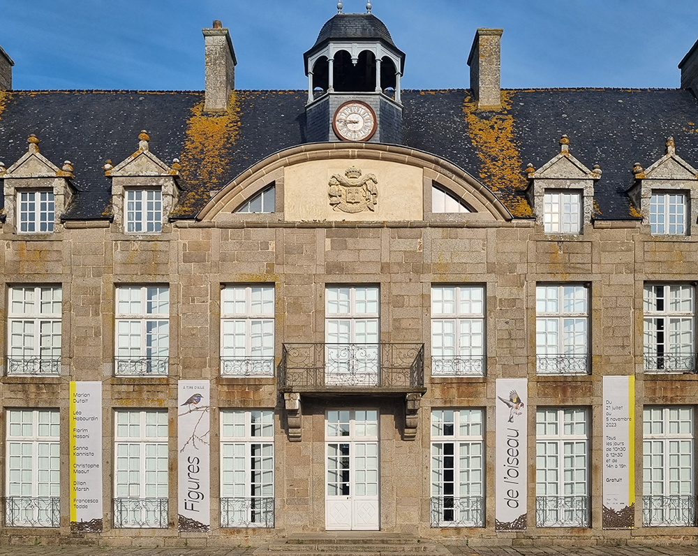 Vue d'exposition À TIRE D'AILE Figures de l'oiseau, Château de Flamanville, juillet-novembre 2023.
