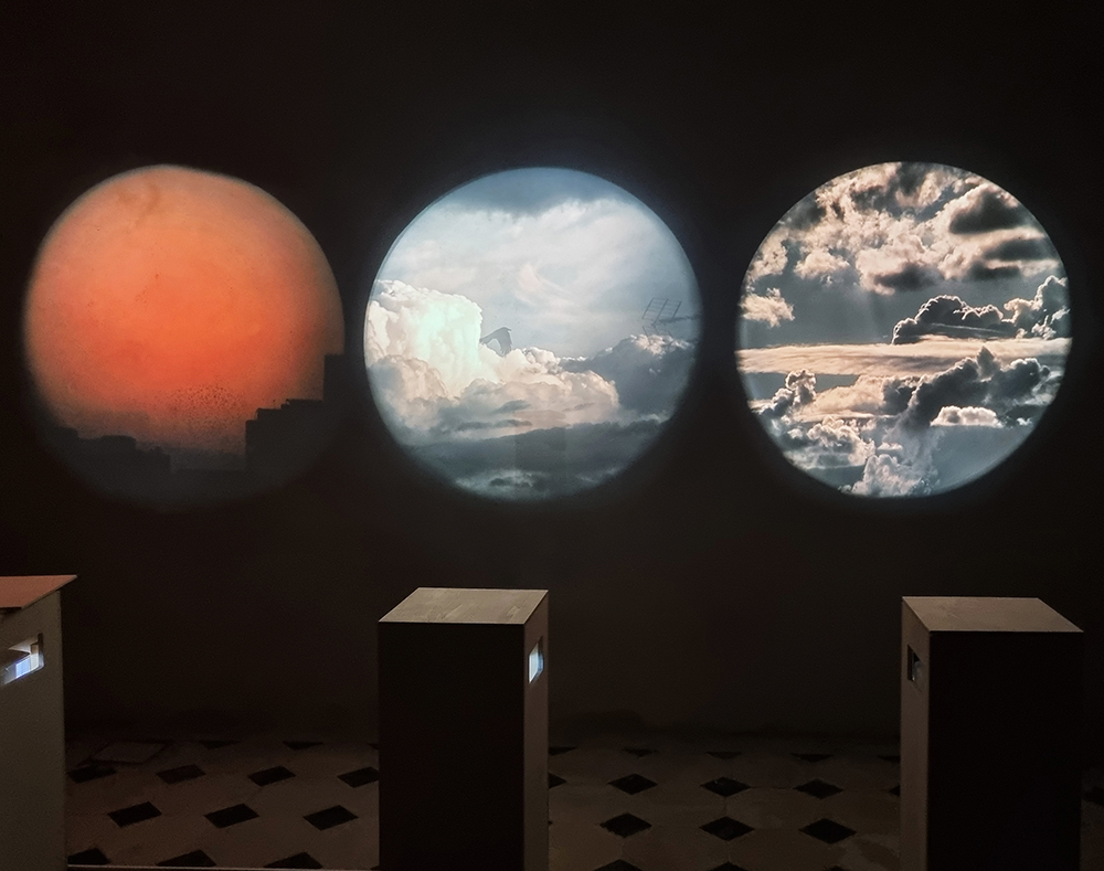 Vue d'exposition À TIRE D'AILE Figures de l'oiseau, Château de Flamanville, juillet-novembre 2023.