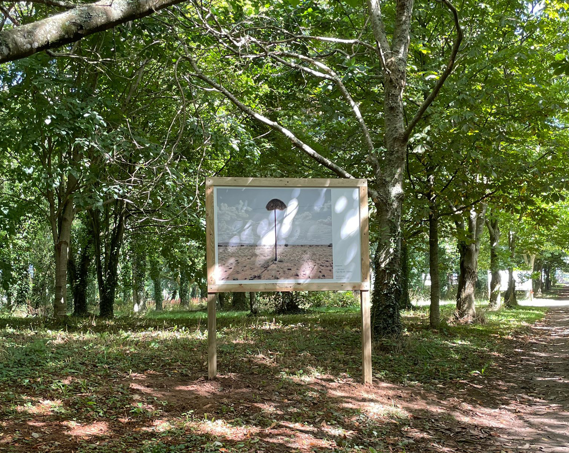 Vue d'exposition À TIRE D'AILE Figures de l'oiseau, Château de Flamanville, juillet-novembre 2023.