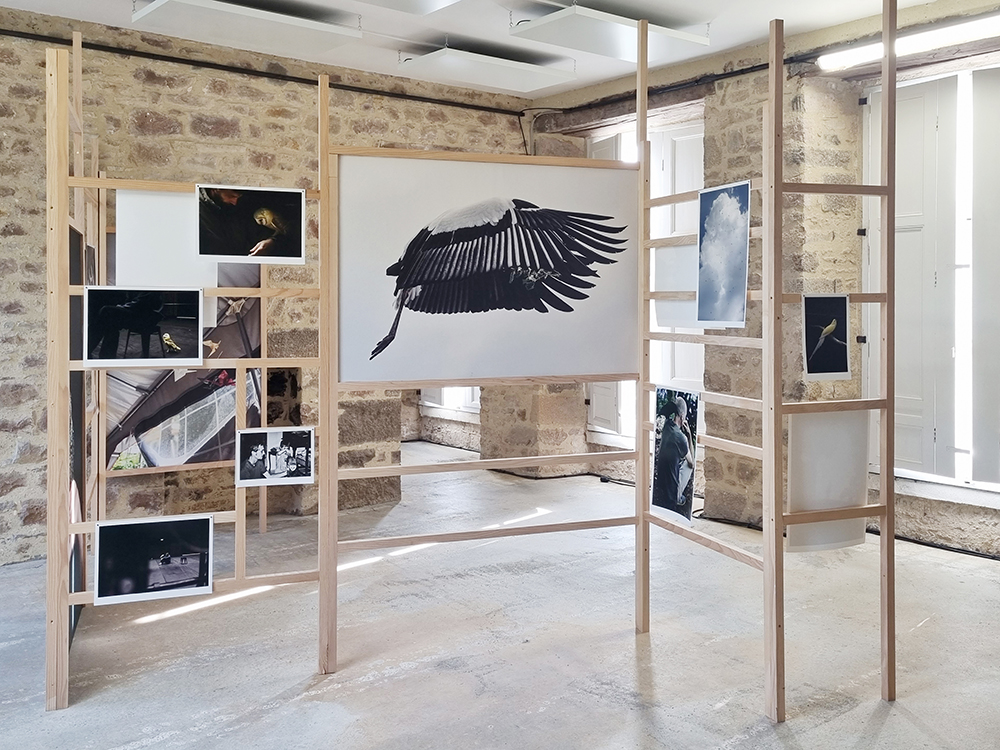 Vue d'exposition À TIRE D'AILE Figures de l'oiseau, Château de Flamanville, juillet-novembre 2023.