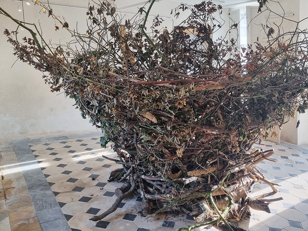Vue d'exposition À TIRE D'AILE Figures de l'oiseau, Château de Flamanville, juillet-novembre 2023.