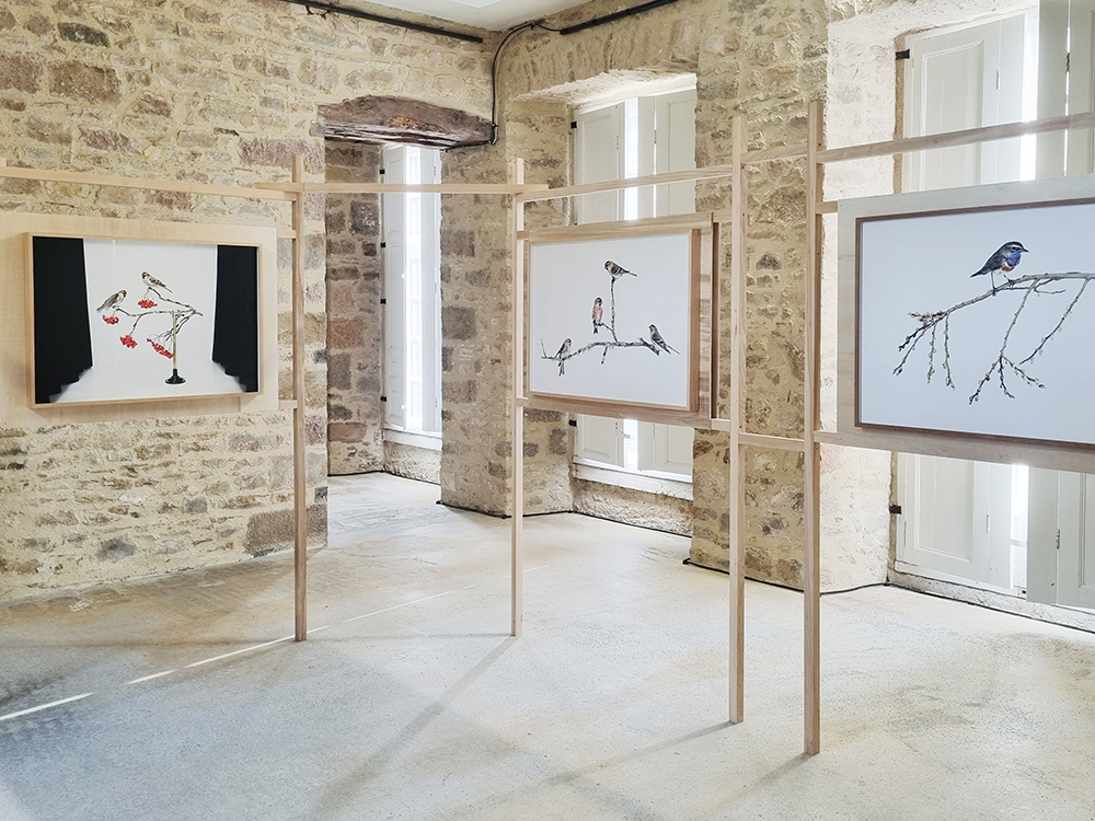 Vue d'exposition À TIRE D'AILE Figures de l'oiseau, Château de Flamanville, juillet-novembre 2023.