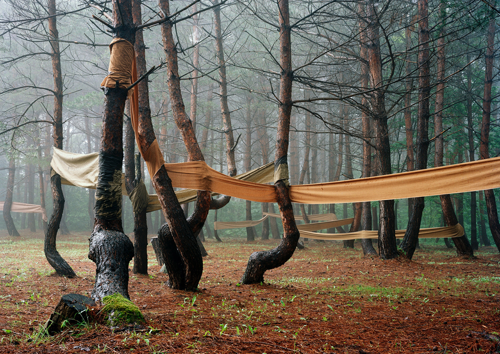 PAIVALAINEN Riitta, de la serie Aomori, blue forest, 2005 Les Sentinelles Centre photographique Rouen Normandie