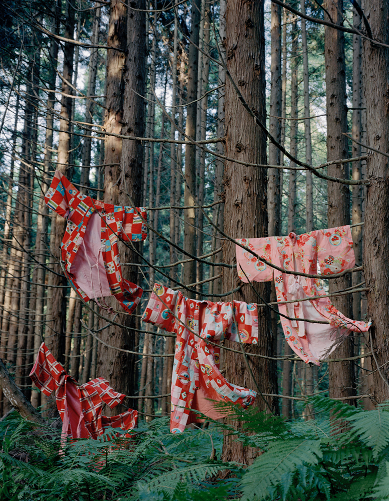 PAIVALAINEN Riitta, de la serie Aomori, blue forest , 2005 Les Sentinelles Centre photographique Rouen Normandie