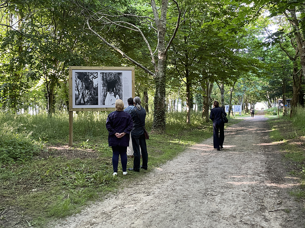 Vues d'exposition Les Sentinelles au Chateau de Flamanville 13 copie
