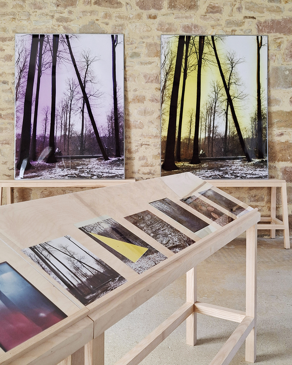 Vues d'exposition Les Sentinelles au Chateau de Flamanville 7 copie