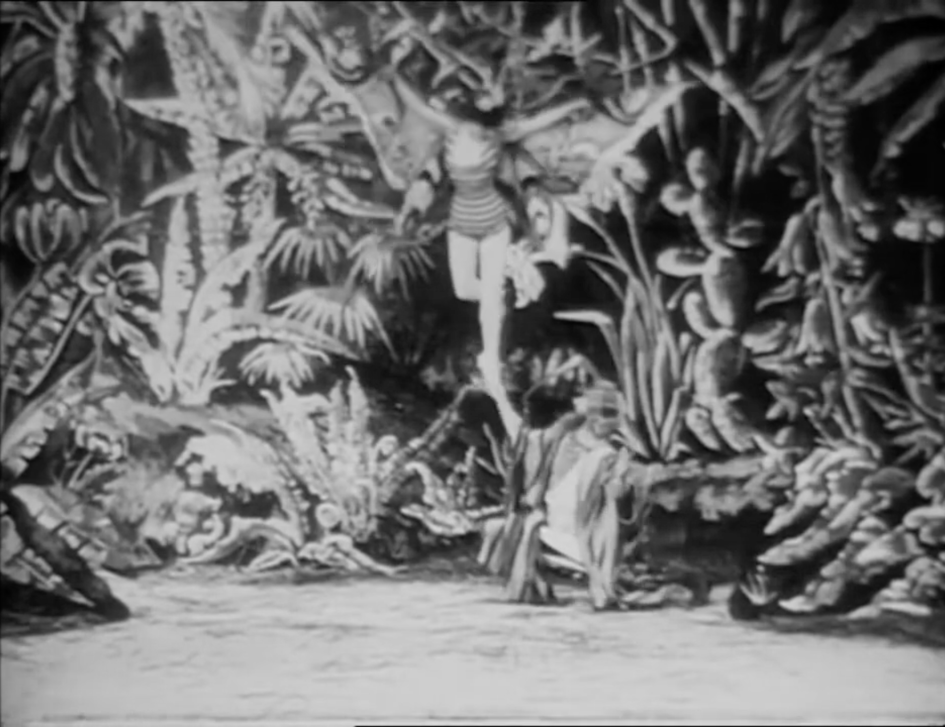 Flore fantastique soiree cineema au Centre photographique Rouen Normandie tire du film The La Chrysalide et le papillon, Georges Melies, Le Courtivore