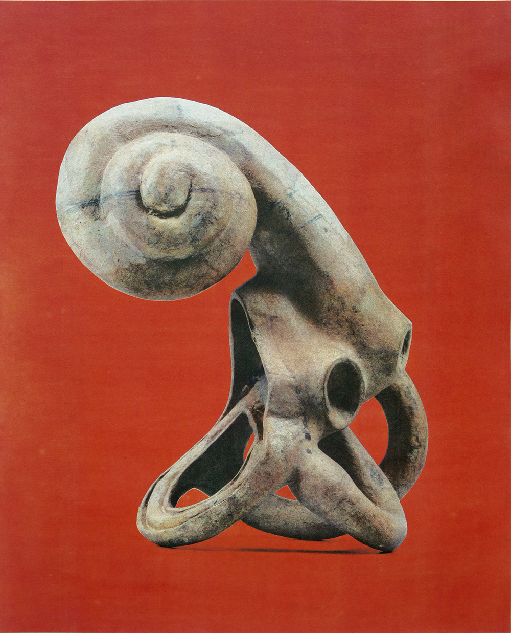 Laurent Millet, De l'enseignement de l'anatomie et des couleurs, 2023