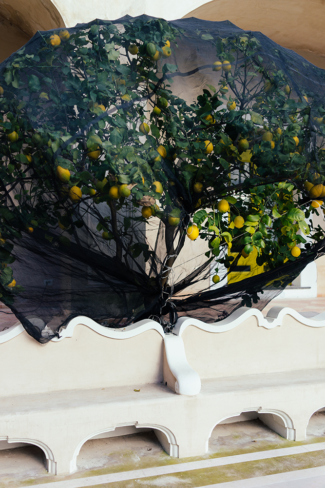Palazzo Murat, Positano (SA) / Murat Palace, Positano (SA), 2024-01-23
