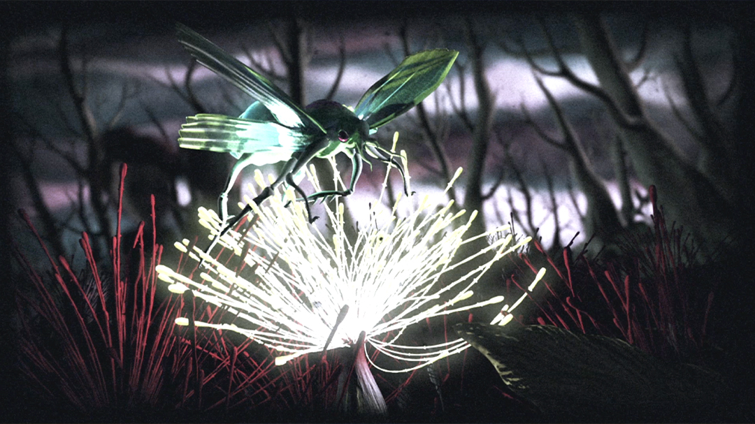 flore 2