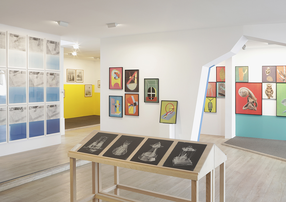 Vue d'exposition Former l'ypothese de Laurent Millet au Centre photographique Rouen Normandie mai-septembre 2024 1