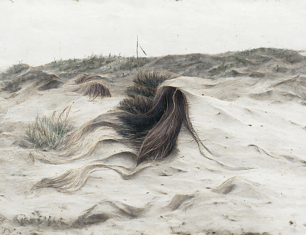 Mathieu Bernard-Reymond, Plage livre, de la série I think I've forgotten this before, 2022.jpg