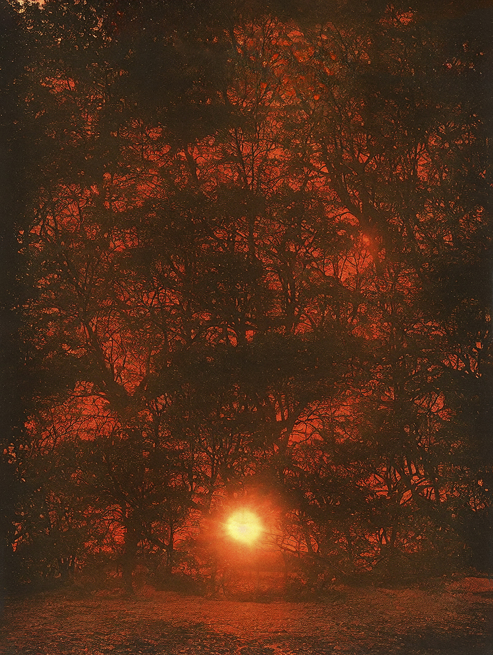 Le soleil vomira rouge, et puis il ne sera plus là. (Si le sole