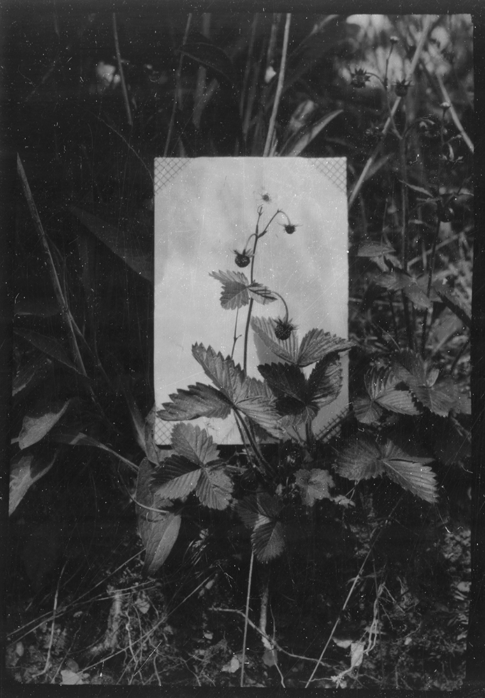 3 - Zoe Hamill, de la serie Primary Succession , 2025.